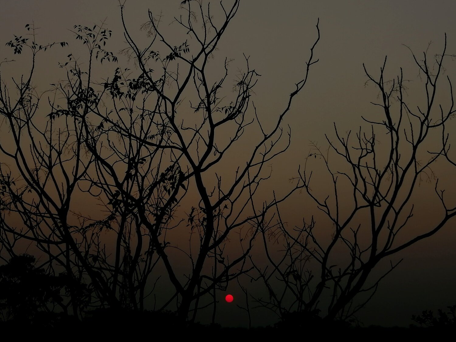 Photo #6057002