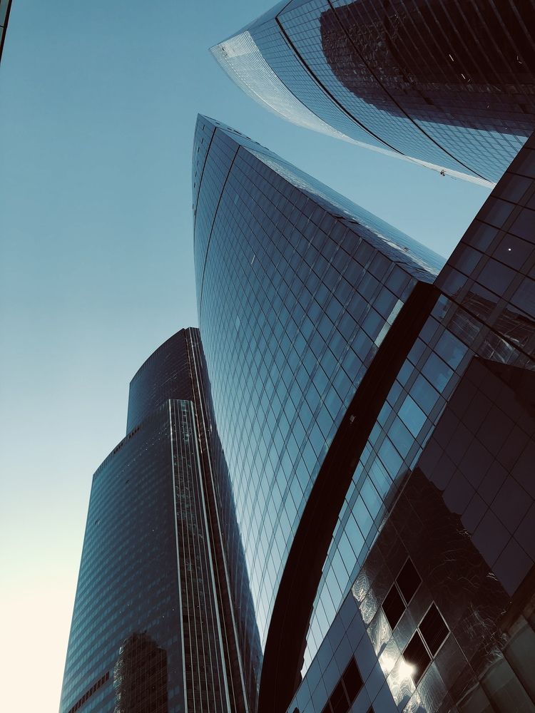 Каменные джунгли