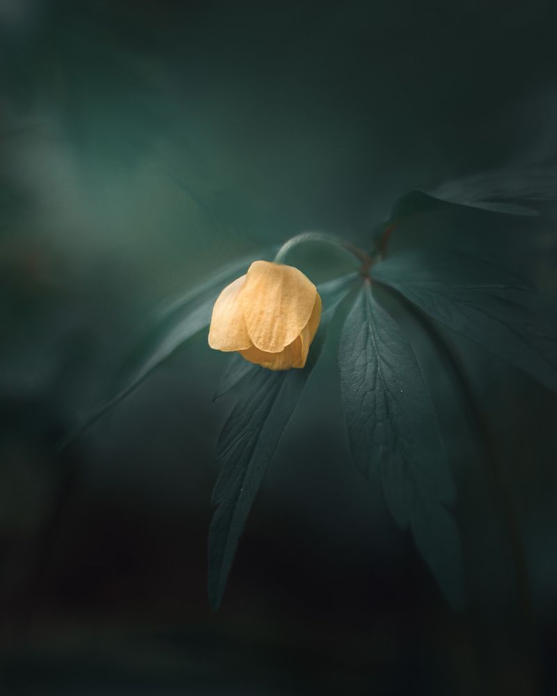 Photograph by Максим Мозжухин