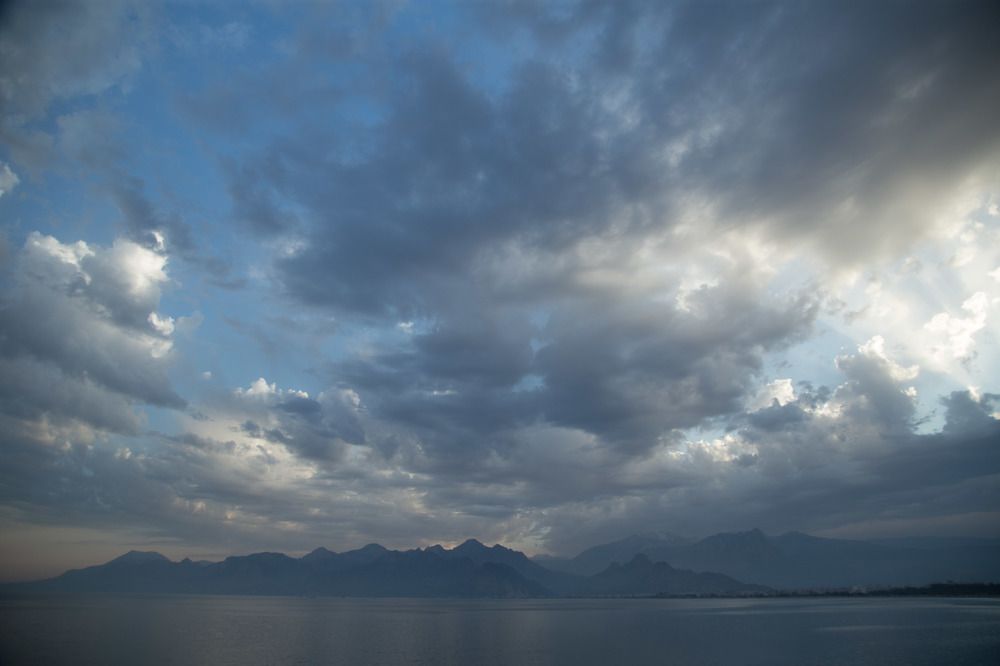 Photograph by Asia Amber