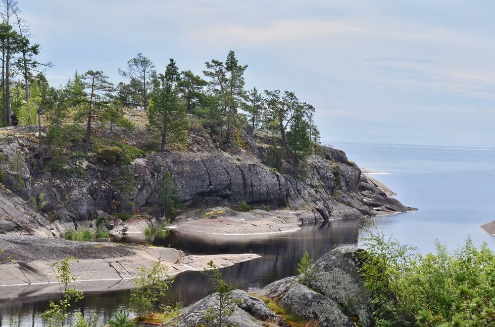 Photograph by Алексей Фомичев