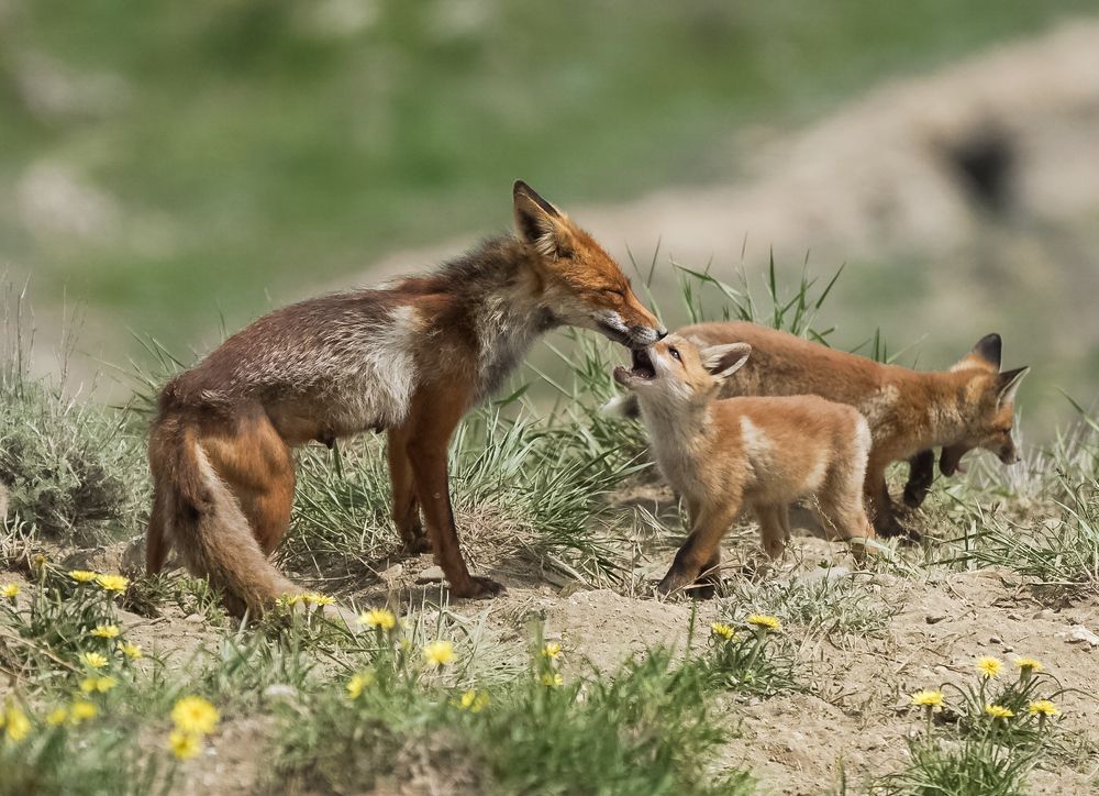Материнство.