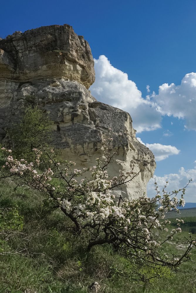 Photograph by Владимир Орлов