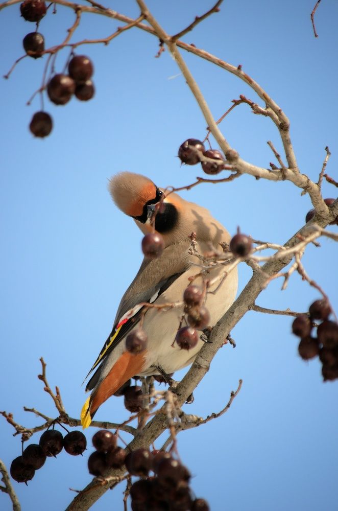 Photograph by Максим Ушенин