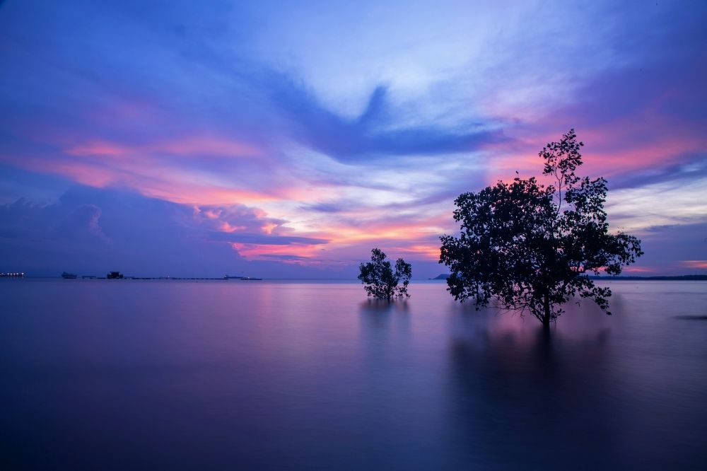 Photograph by AIEW CHEE MING