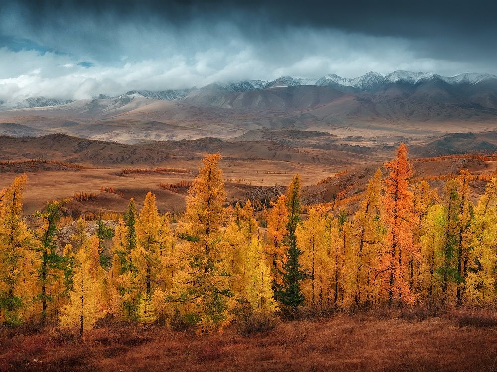 Photograph by Андрей Родионов