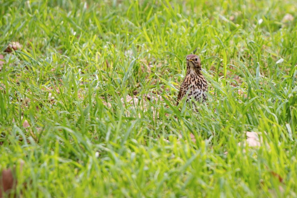 Photograph by Santiago Mata