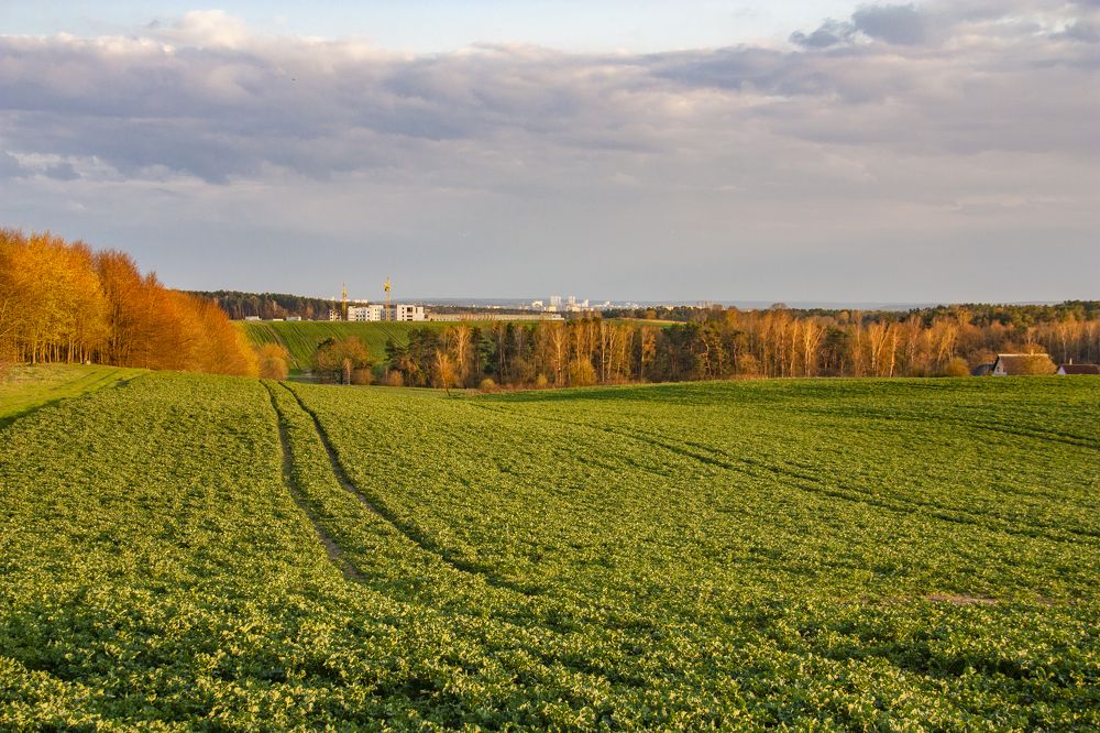 Photograph by Александр Архипов