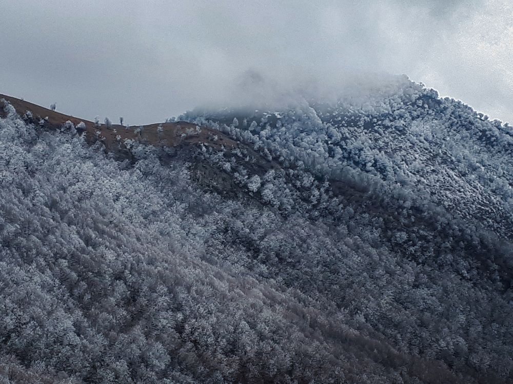 Photograph by Milad Rezaei