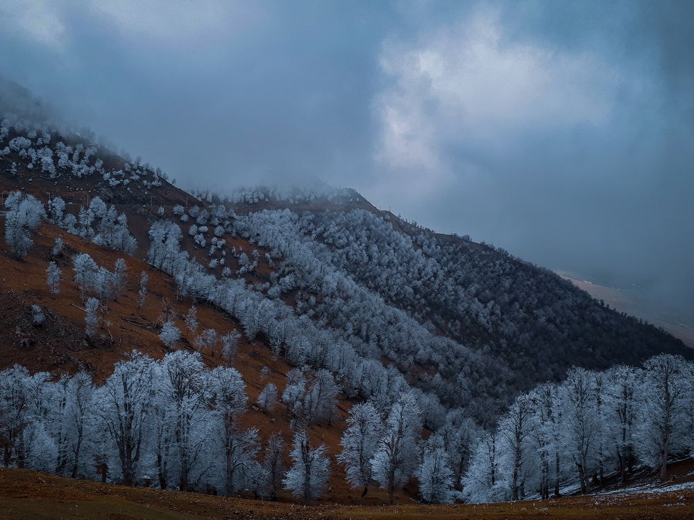 Photograph by Milad Rezaei