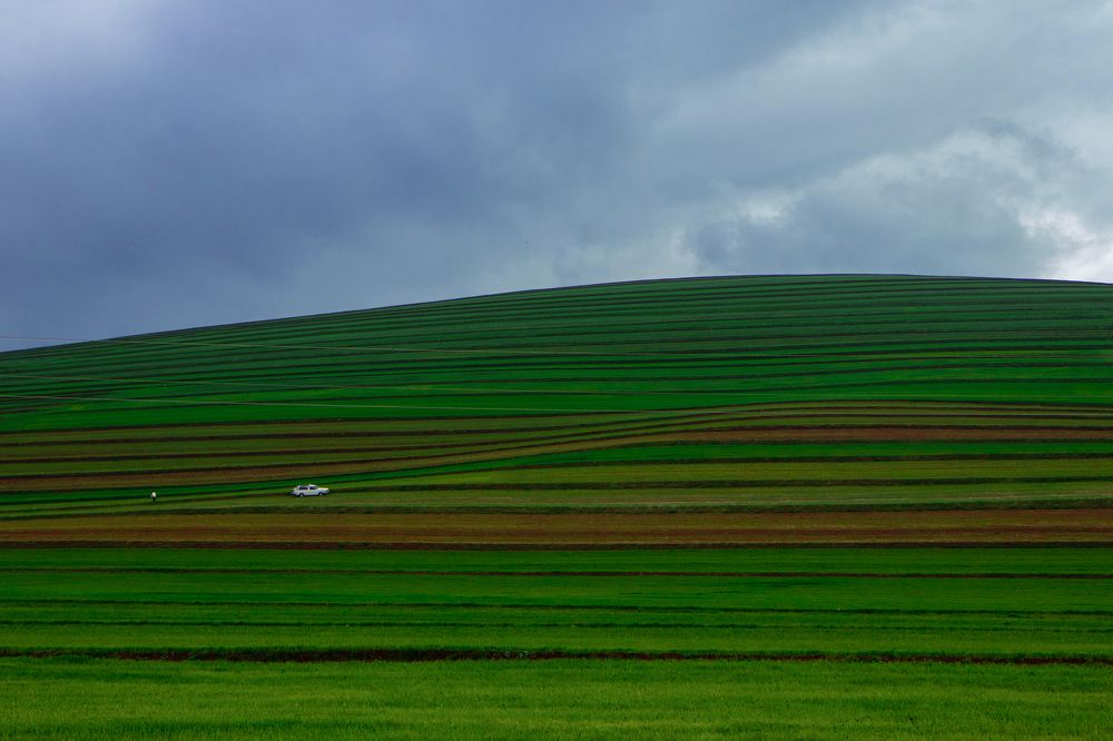 Photograph by Parsa Kamali