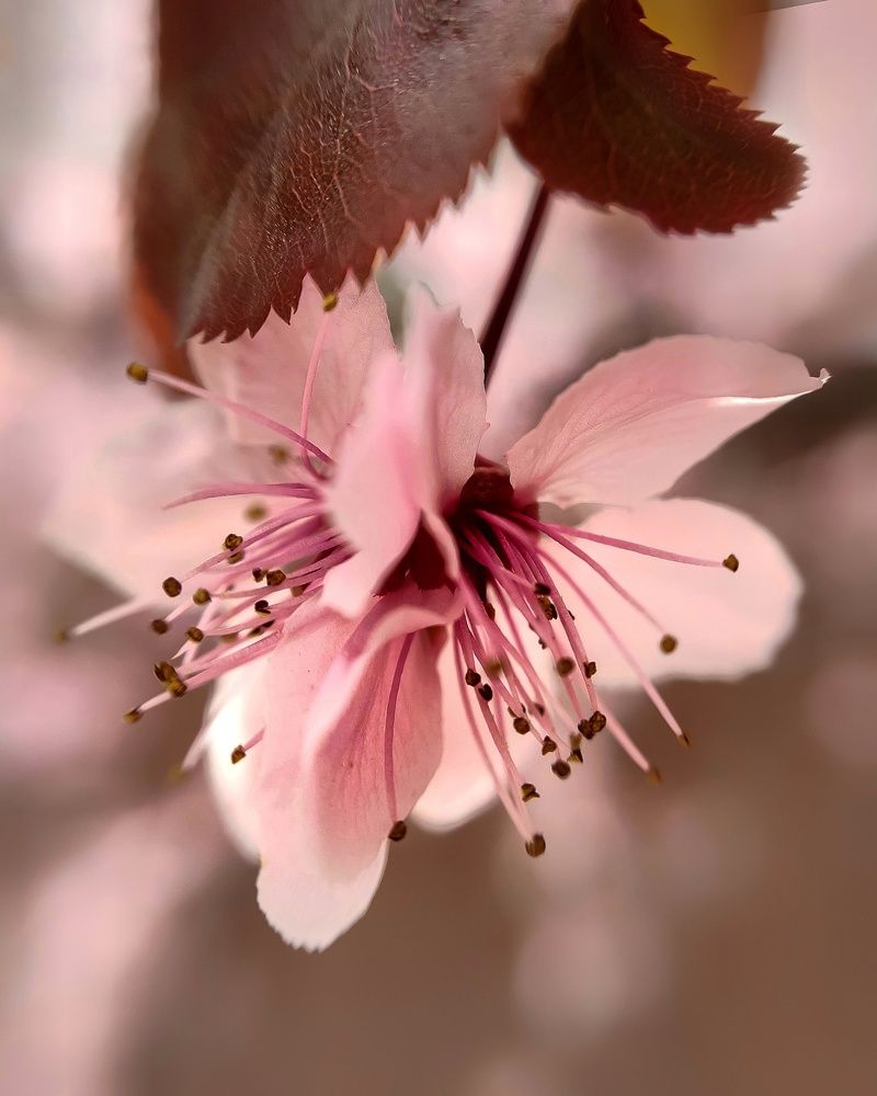 Photograph by Светлана Смирнова