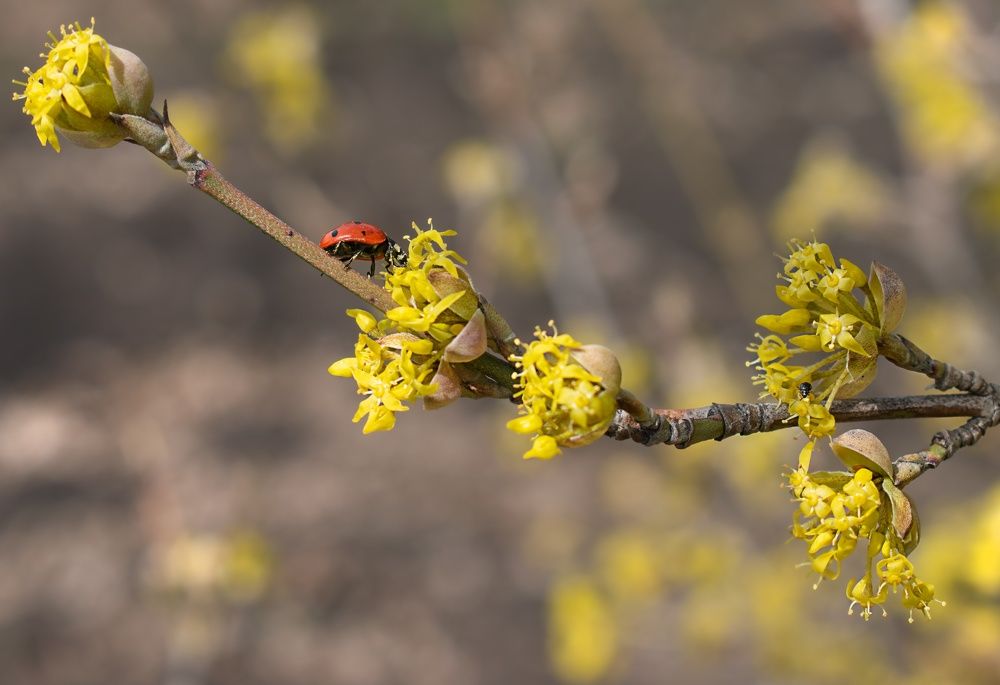Photograph by Elena Lopatina