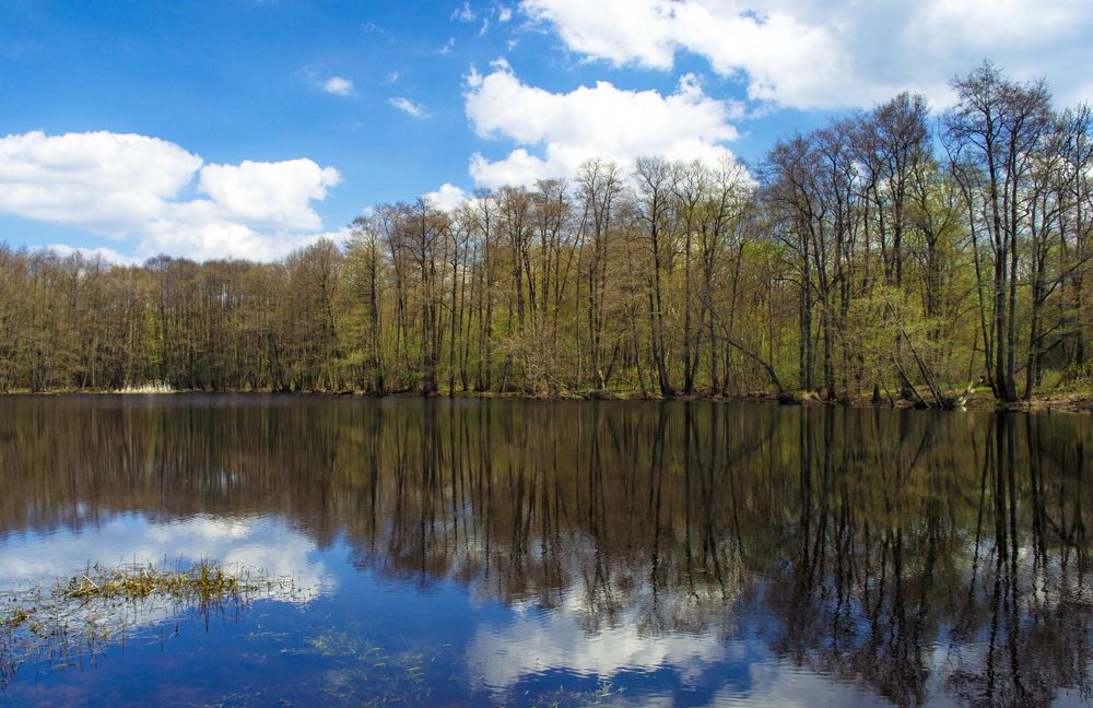 Photograph by Марина Магадиева