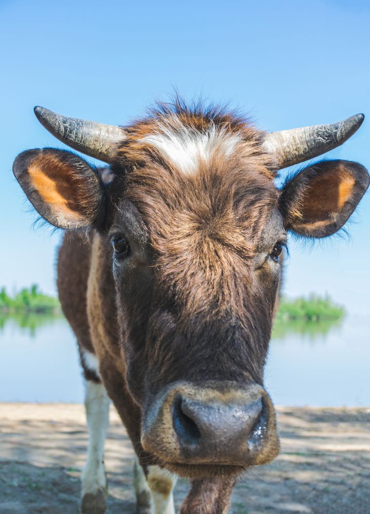 Photograph by Анастасия Киселева