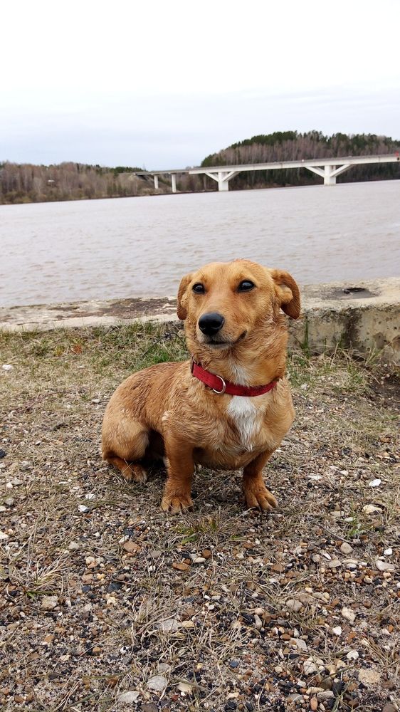 Photo #6057791