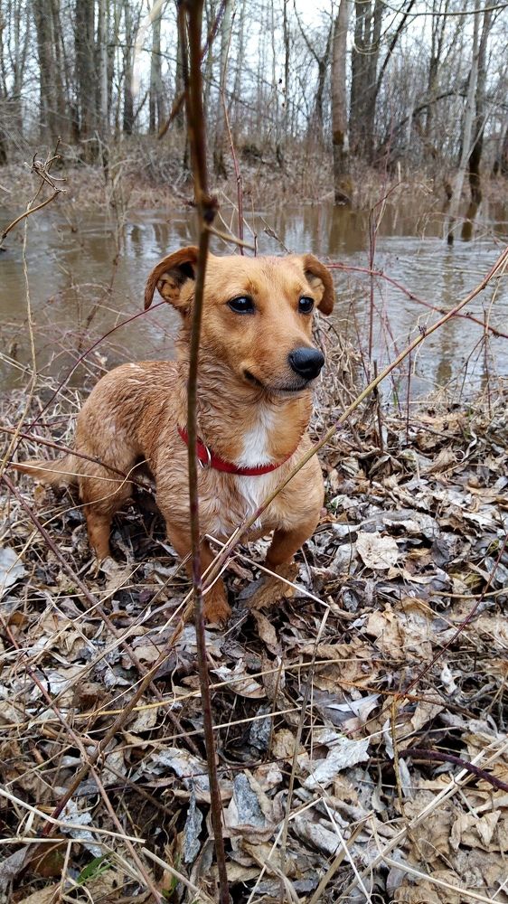 Photo #6057793