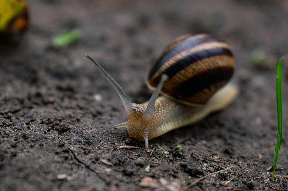 Photograph by Марина Голик