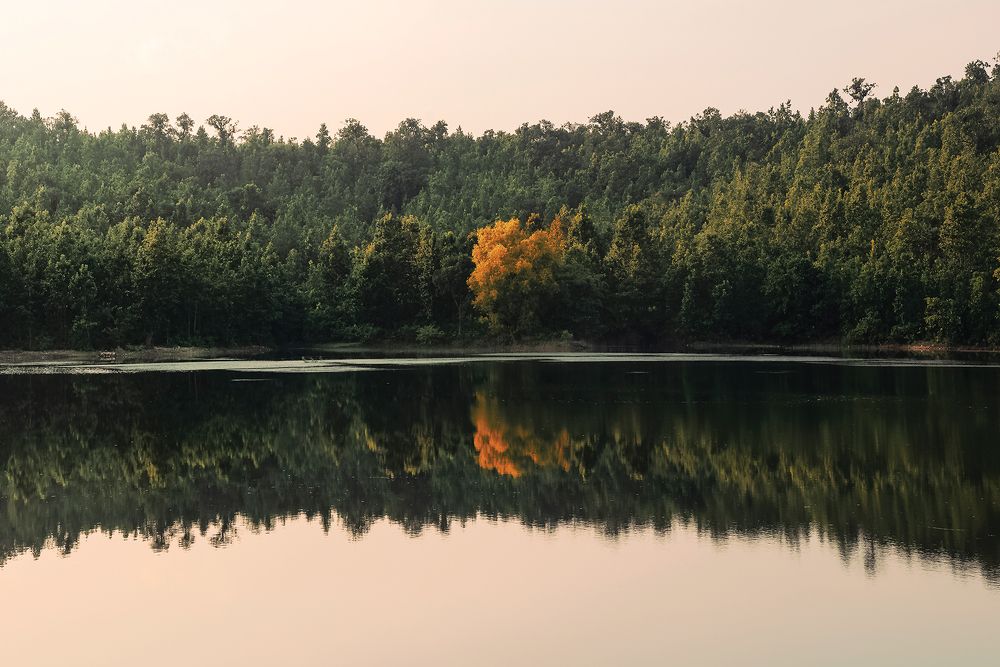 Photograph by Subham Shome