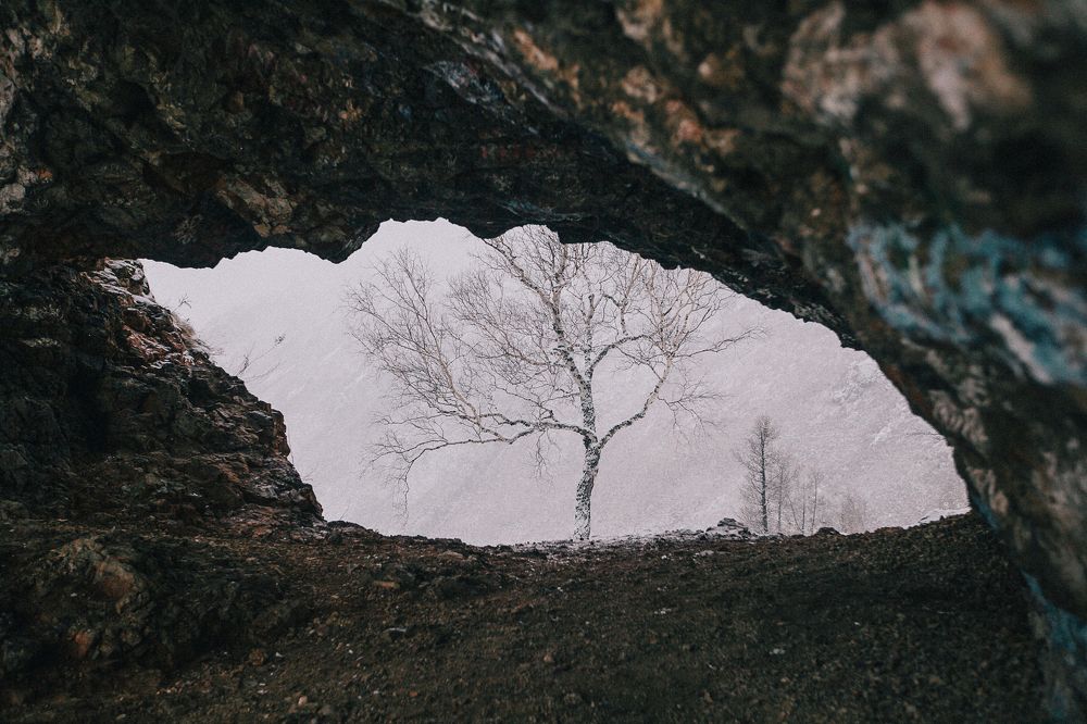 Фотография автора Анна Рыжкова
