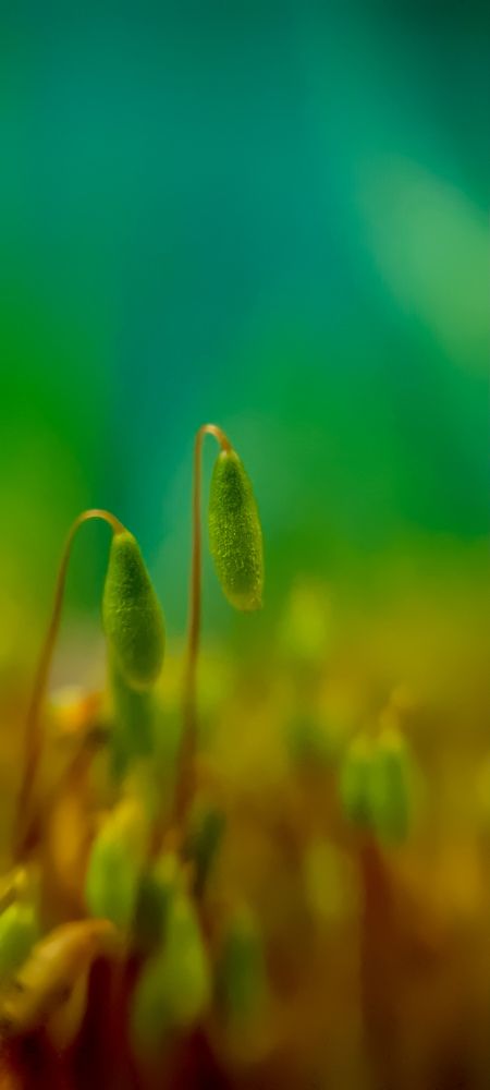 Фотография автора Юлия Вычужанина