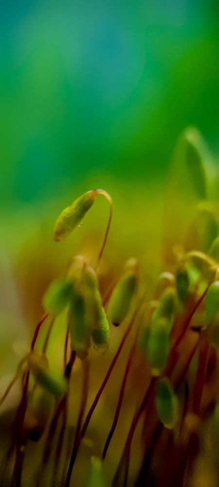 Фотография автора Юлия Вычужанина