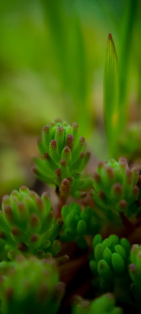 Фотография автора Юлия Вычужанина