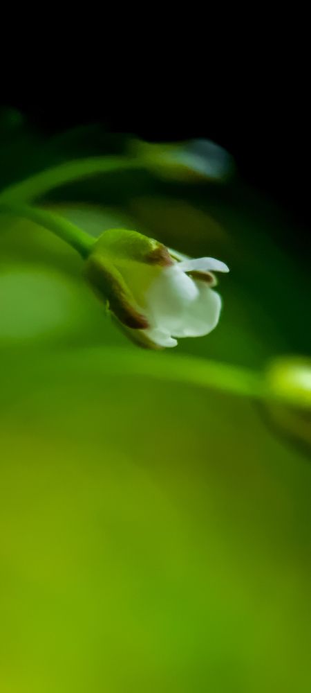 Фотография автора Юлия Вычужанина