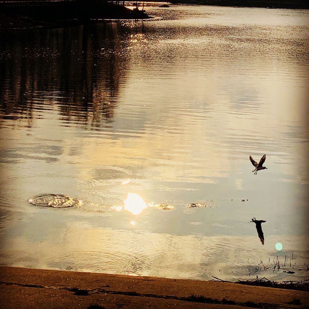 Photograph by Marina Ivanov