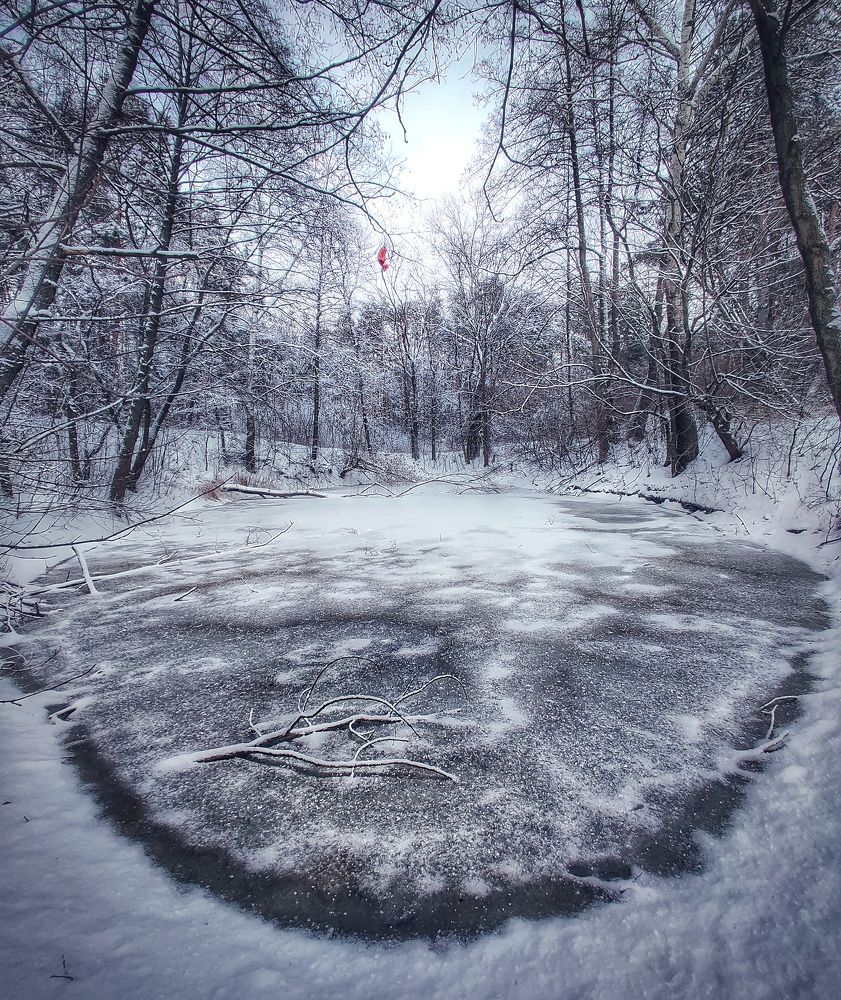 Photograph by Виталий Могиленец