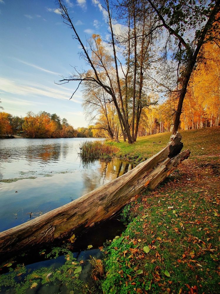 Photograph by Виталий Могиленец