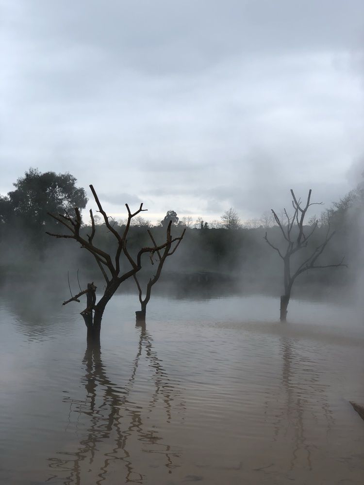Черниговский "Мордор" Абхазия, 2021