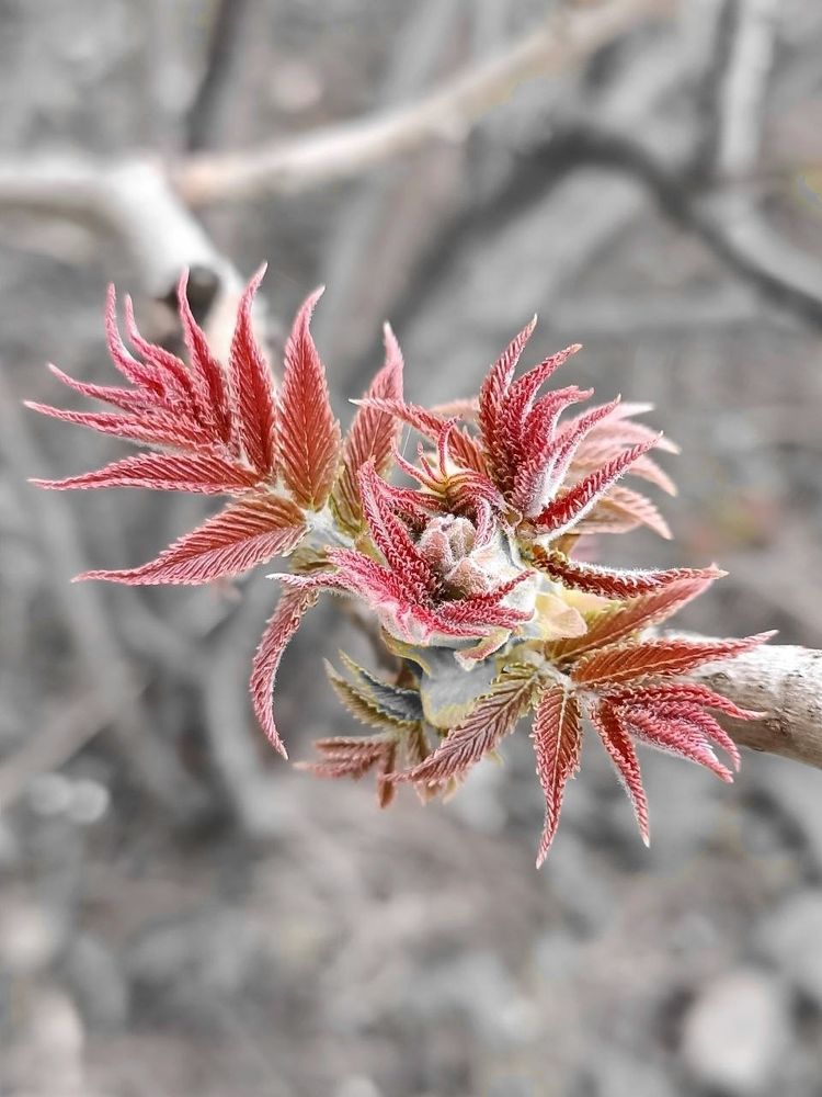 Photograph by Наталия Питолина