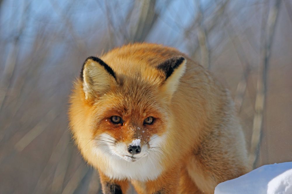 Photograph by Сергей Хитра