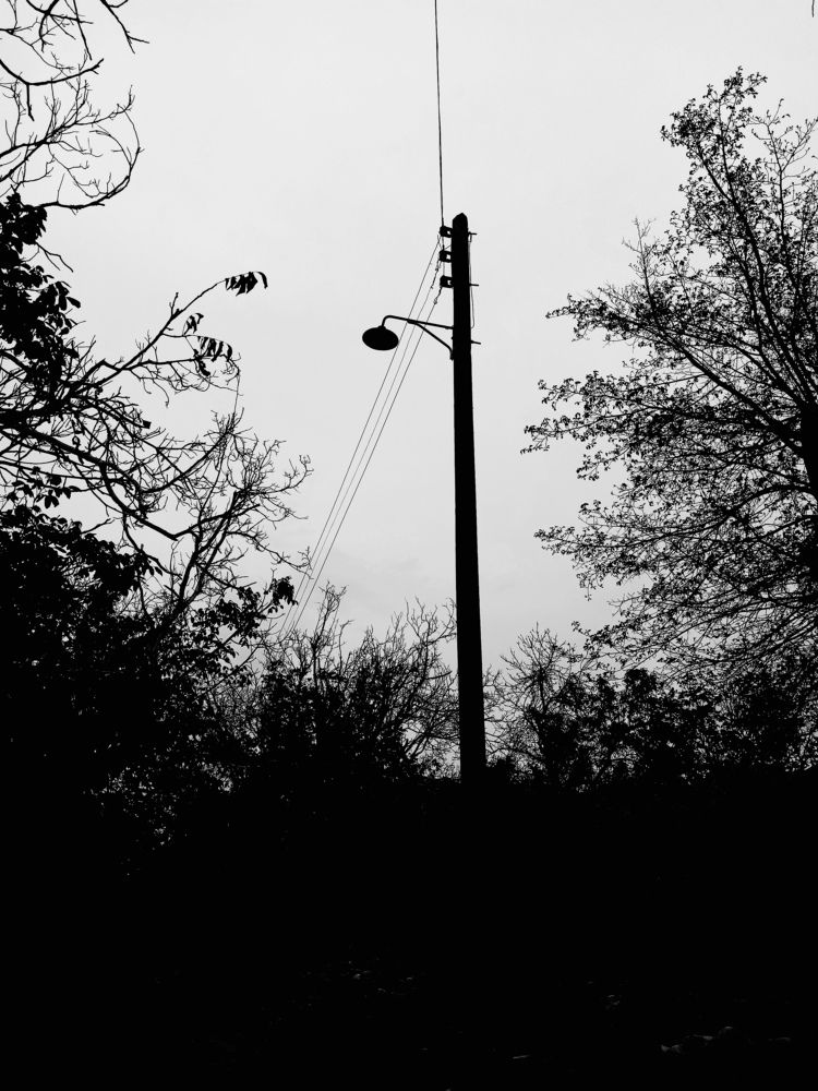 Photo #6058038