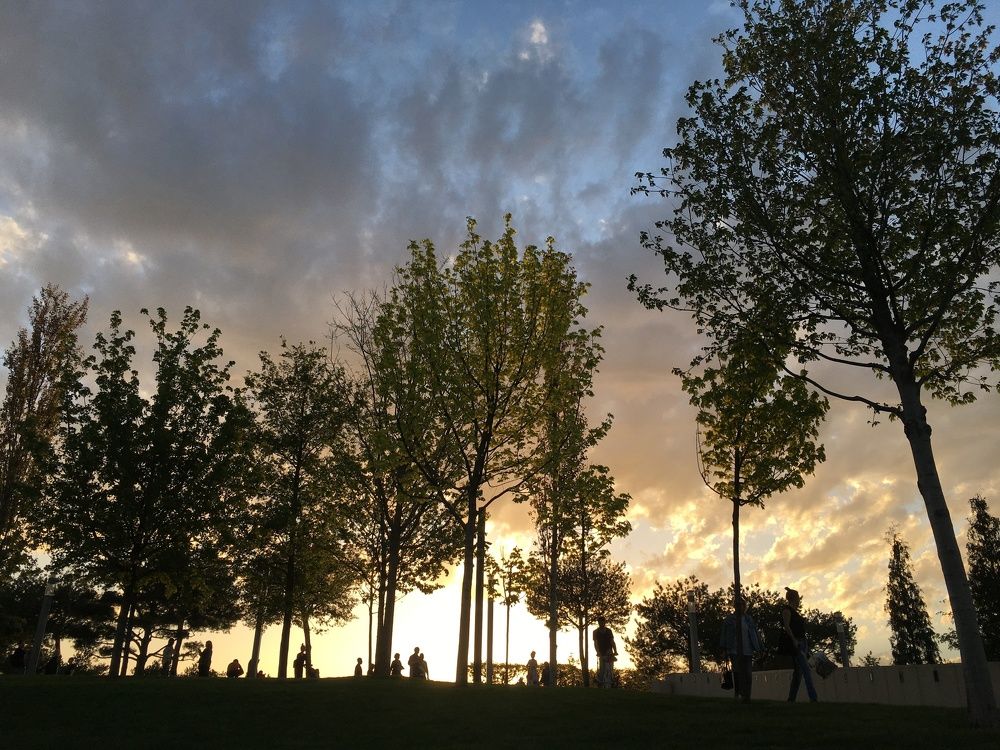 Photograph by Ксения Глубокова