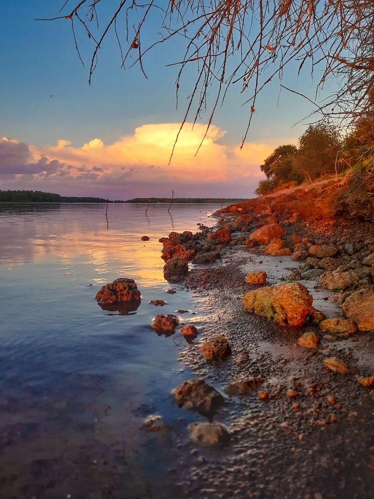 Photograph by Марина Шаповаленко