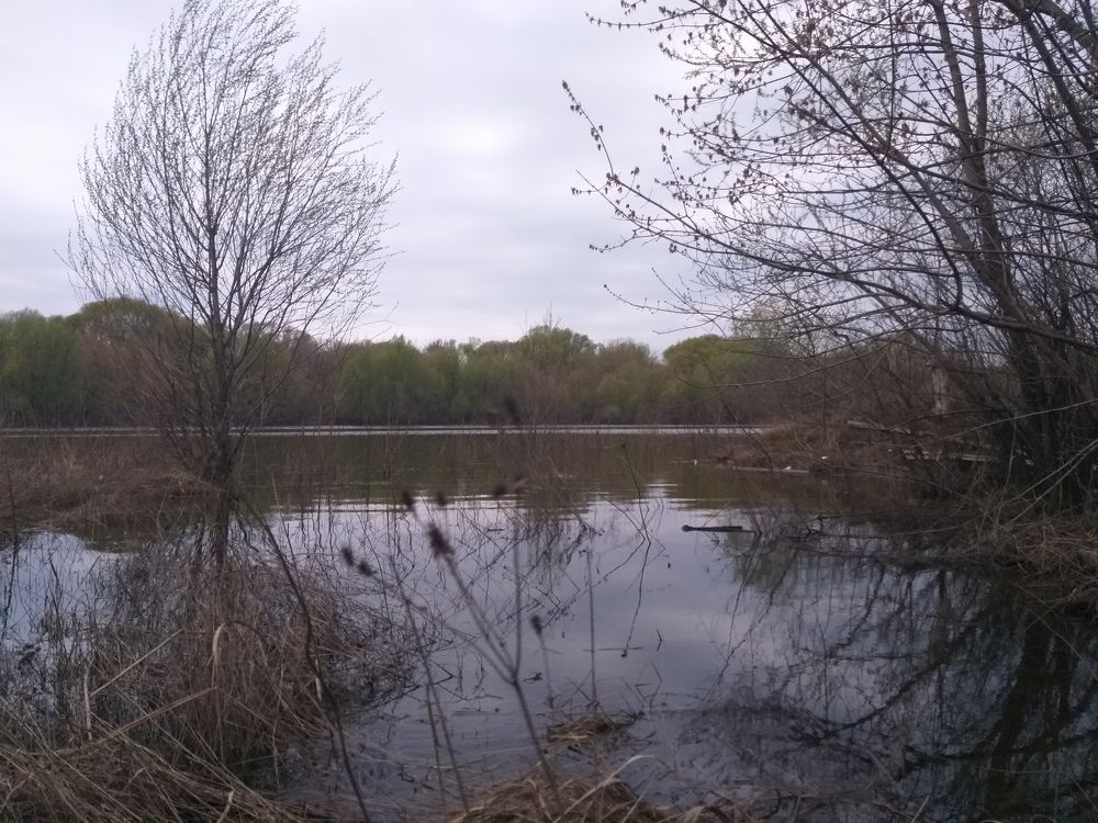 Photograph by Наталья Рыкова