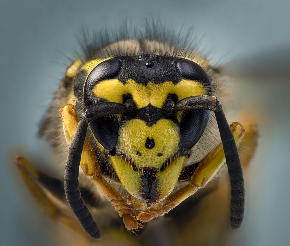 Photograph by Армен Майтесян