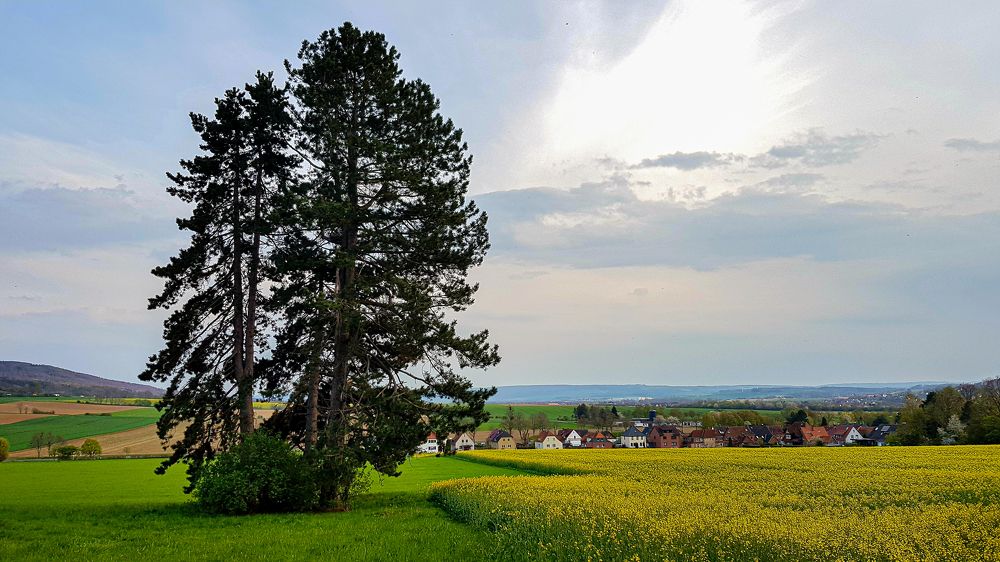 Фотография автора Mia Bernhardt