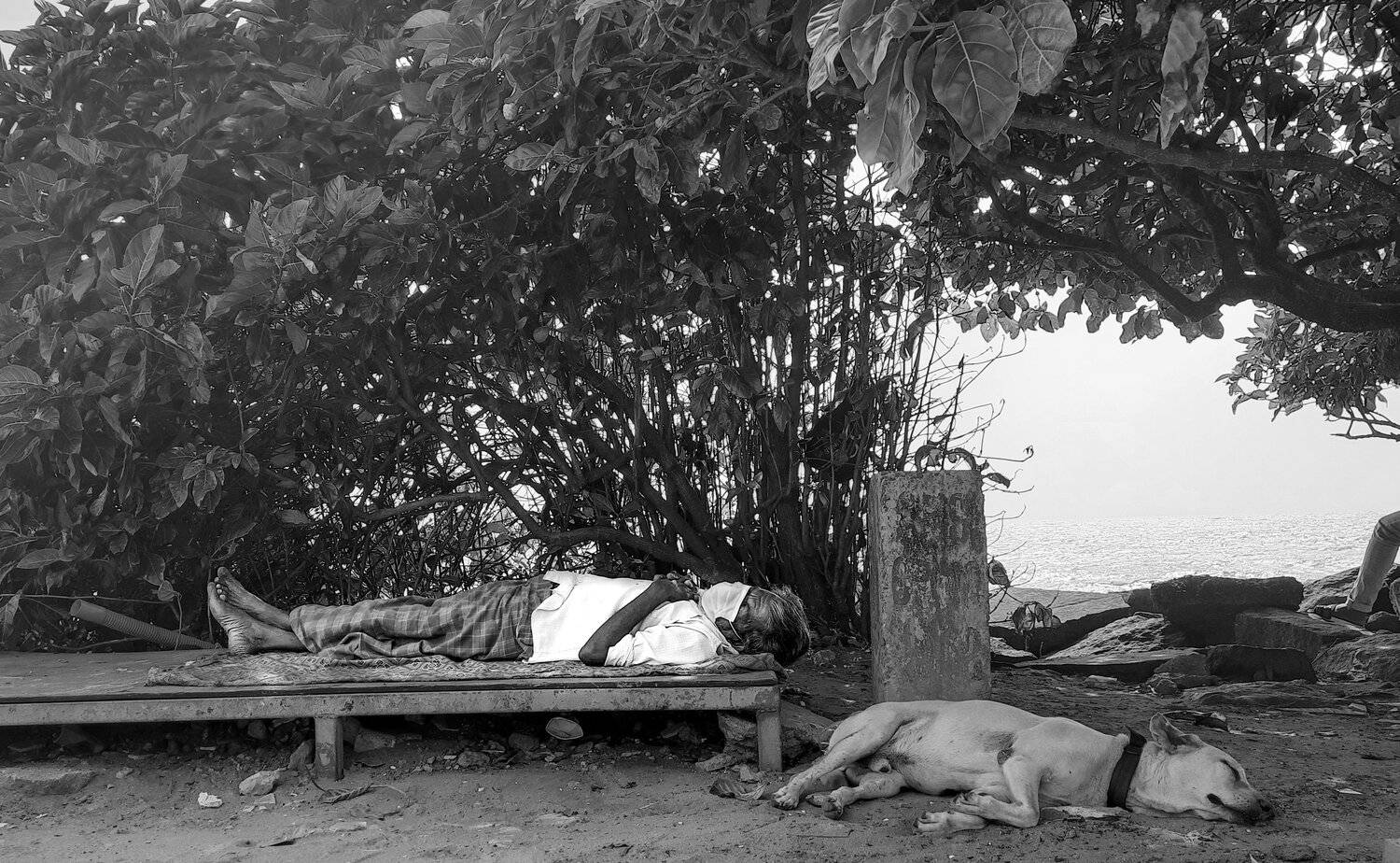 Sleepy living beings