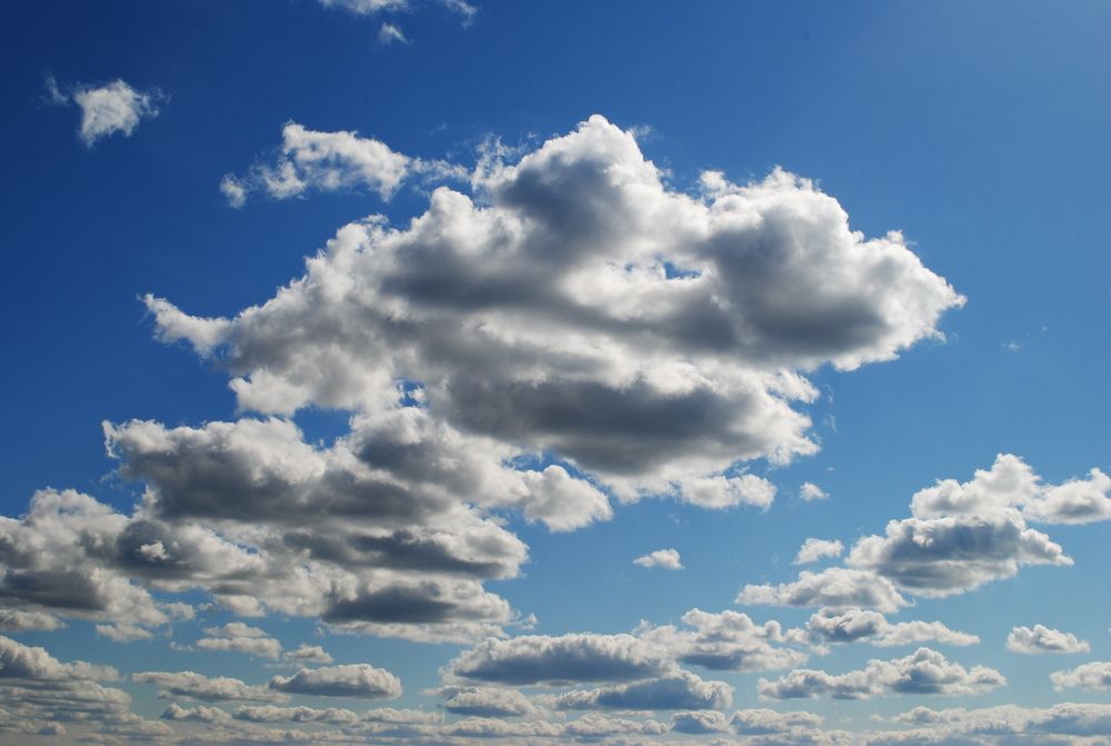 Photograph by ILONA JANUŠYTĖ