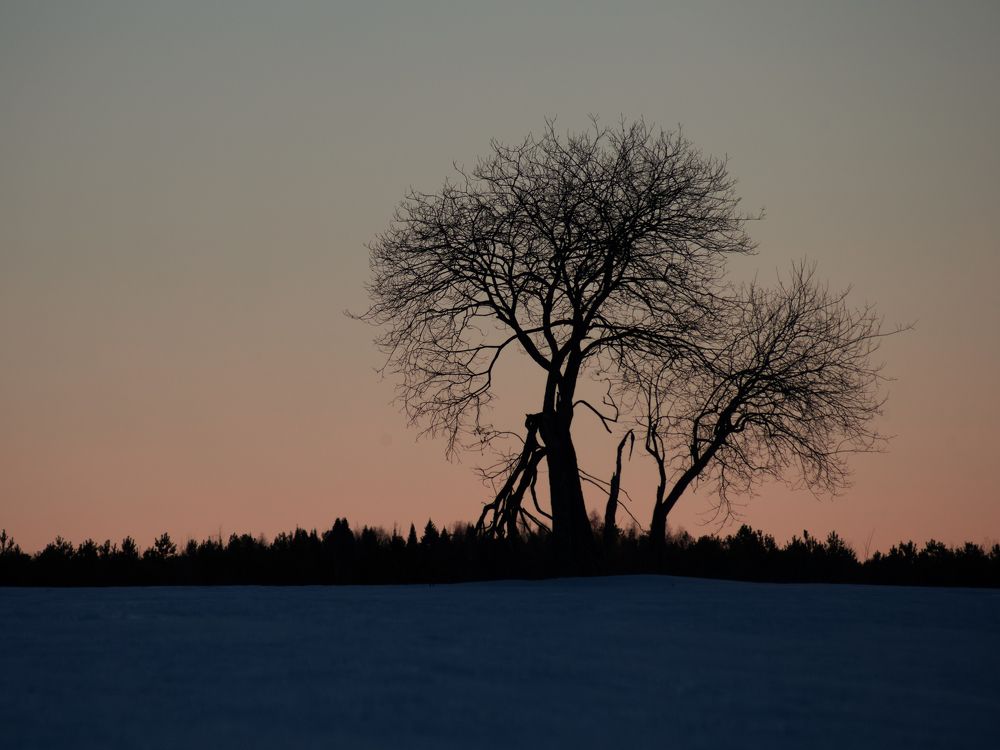 Photograph by Светлана Ерохина