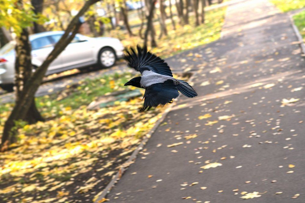 Photograph by Юлия Петухова