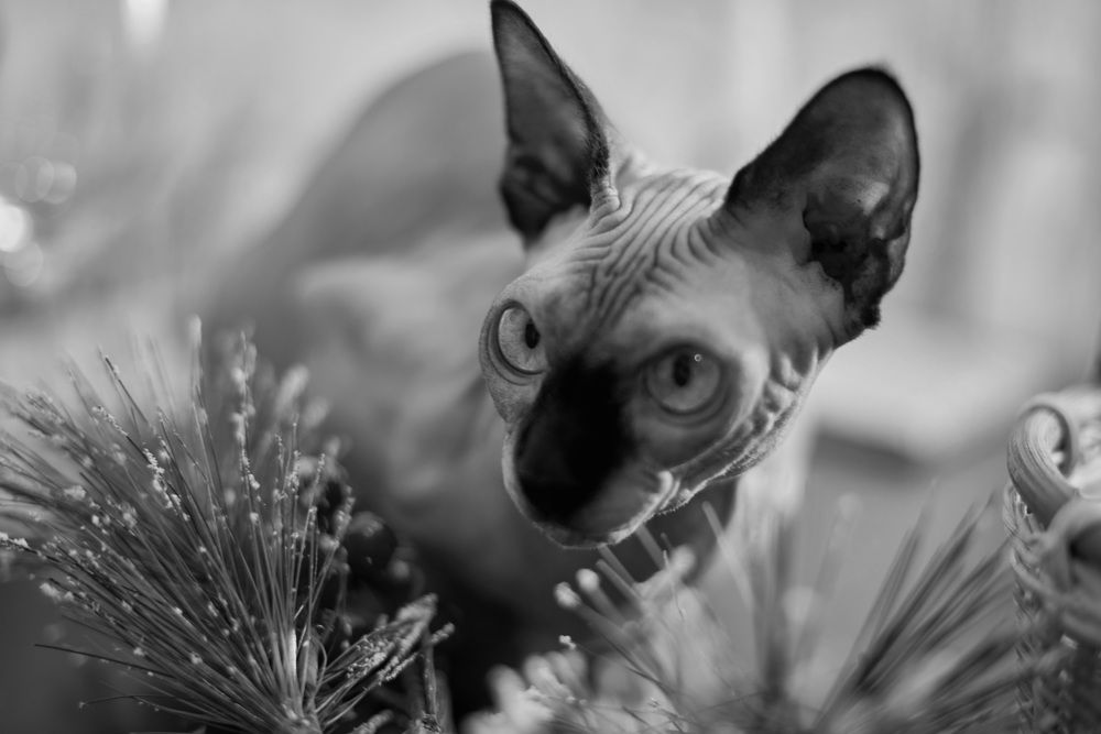 Photograph by Ксения Щербань