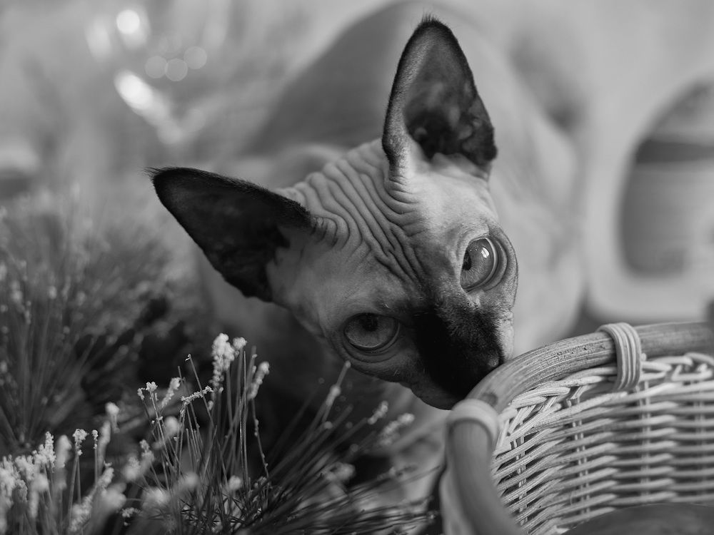 Photograph by Ксения Щербань