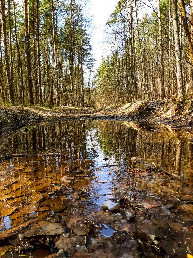 Photograph by Оксана Соборова
