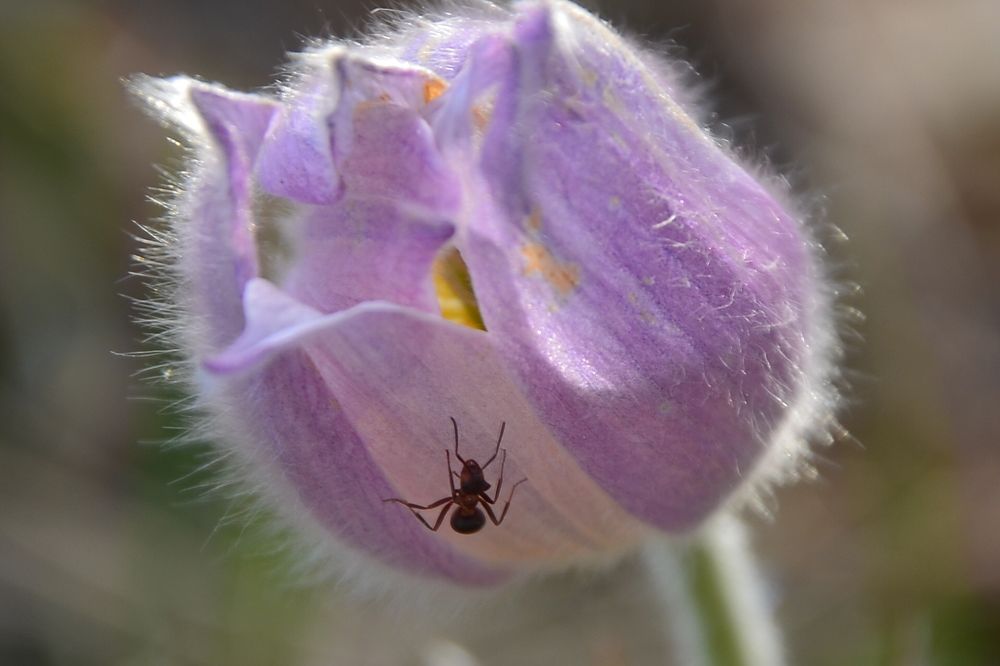 Photograph by Ольга Айдагулова