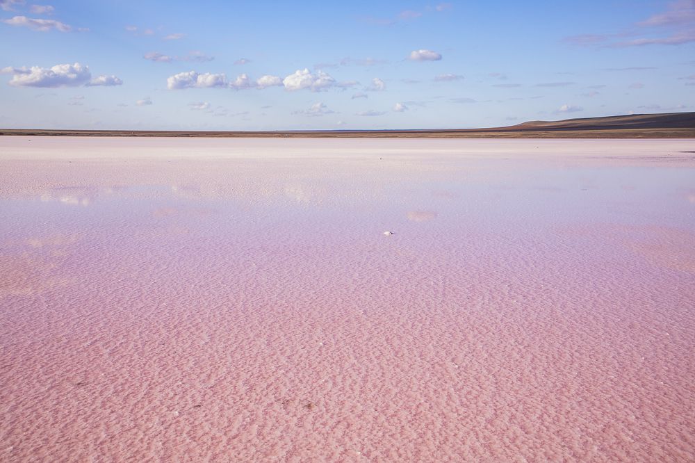Фотография автора Светлана Котлярова