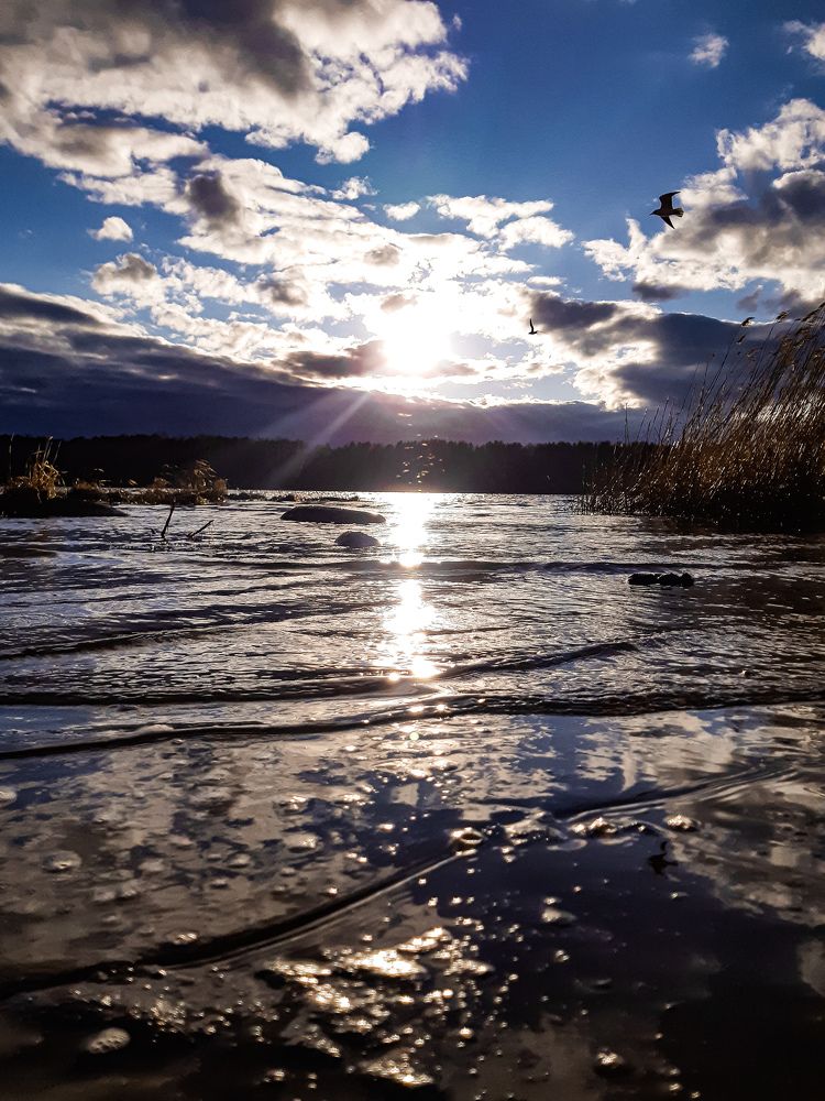 Photograph by Оксана Соборова
